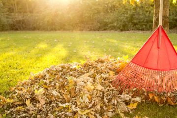 Yard Clean Up